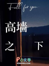 高墙之下小说by葵秋秋